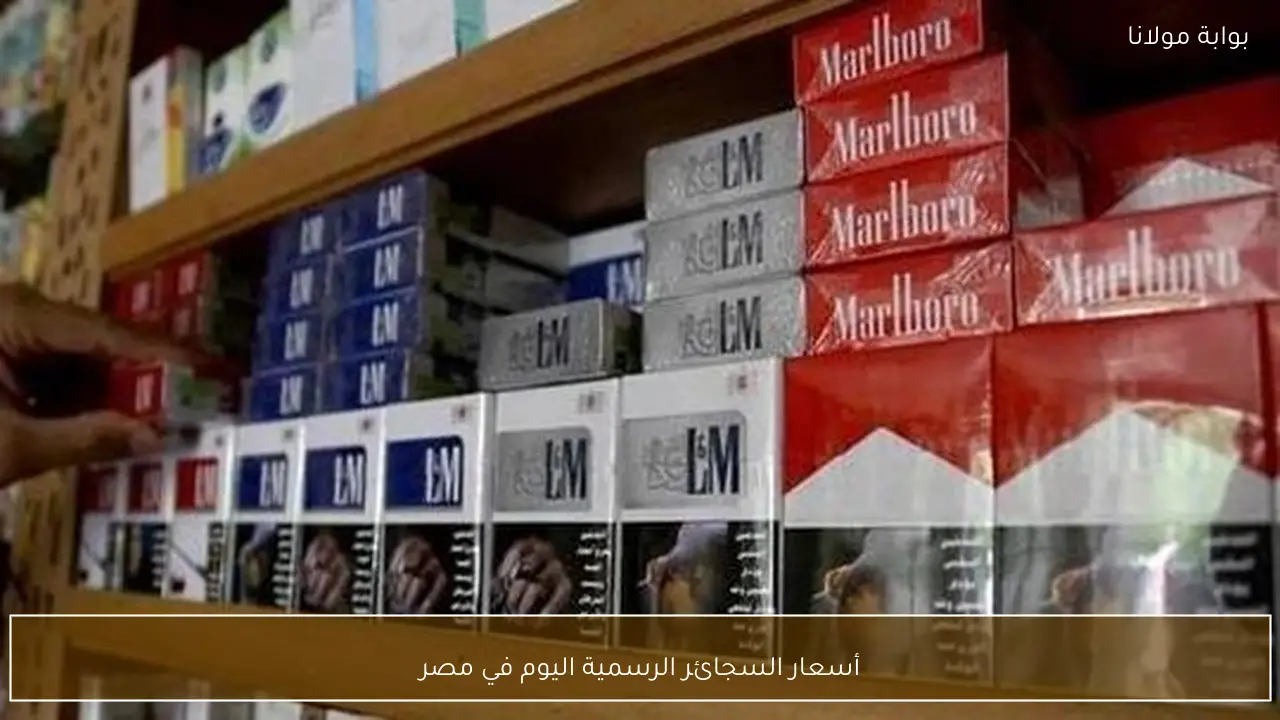 أسعار السجائر الرسمية اليوم في مصر