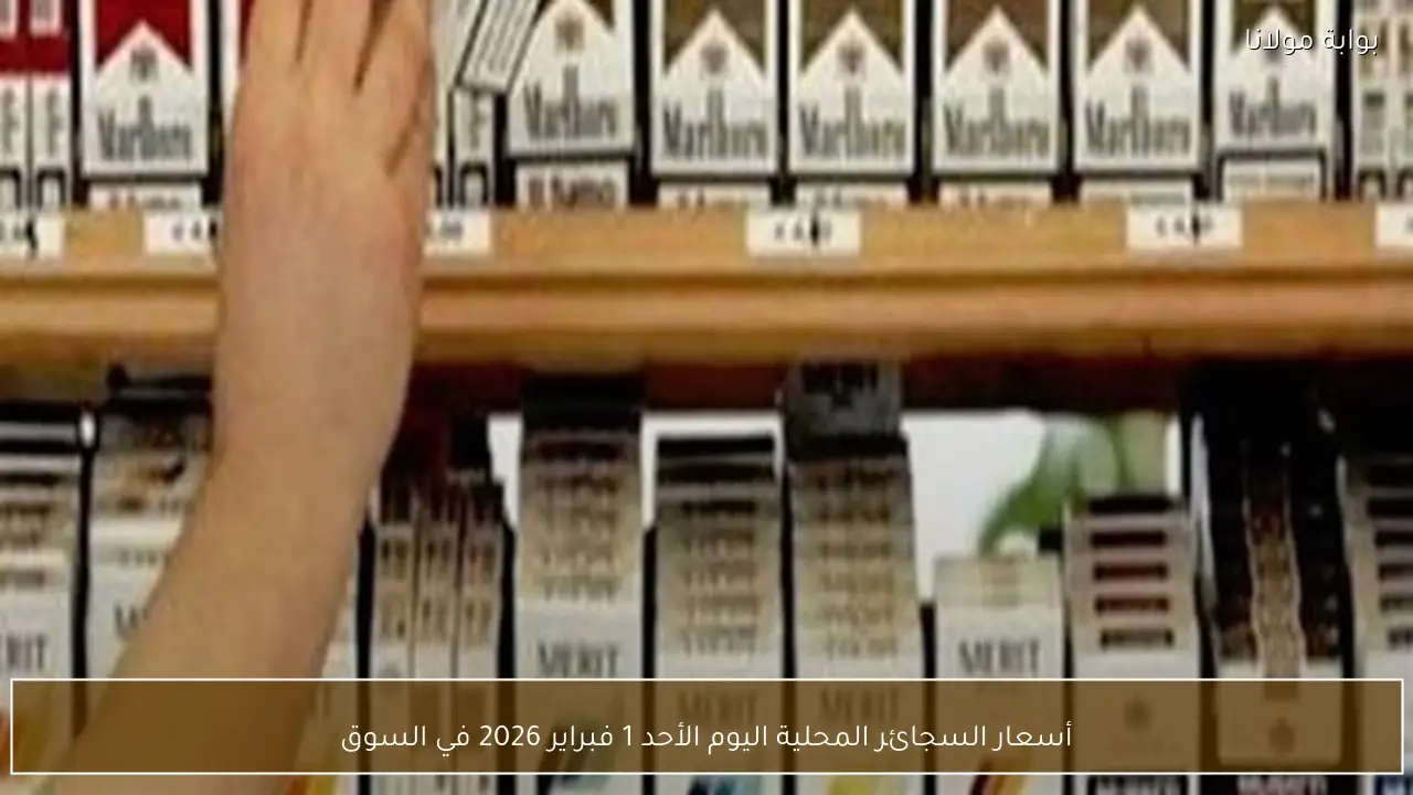 أسعار السجائر المحلية اليوم الأحد 1 فبراير 2026 في السوق