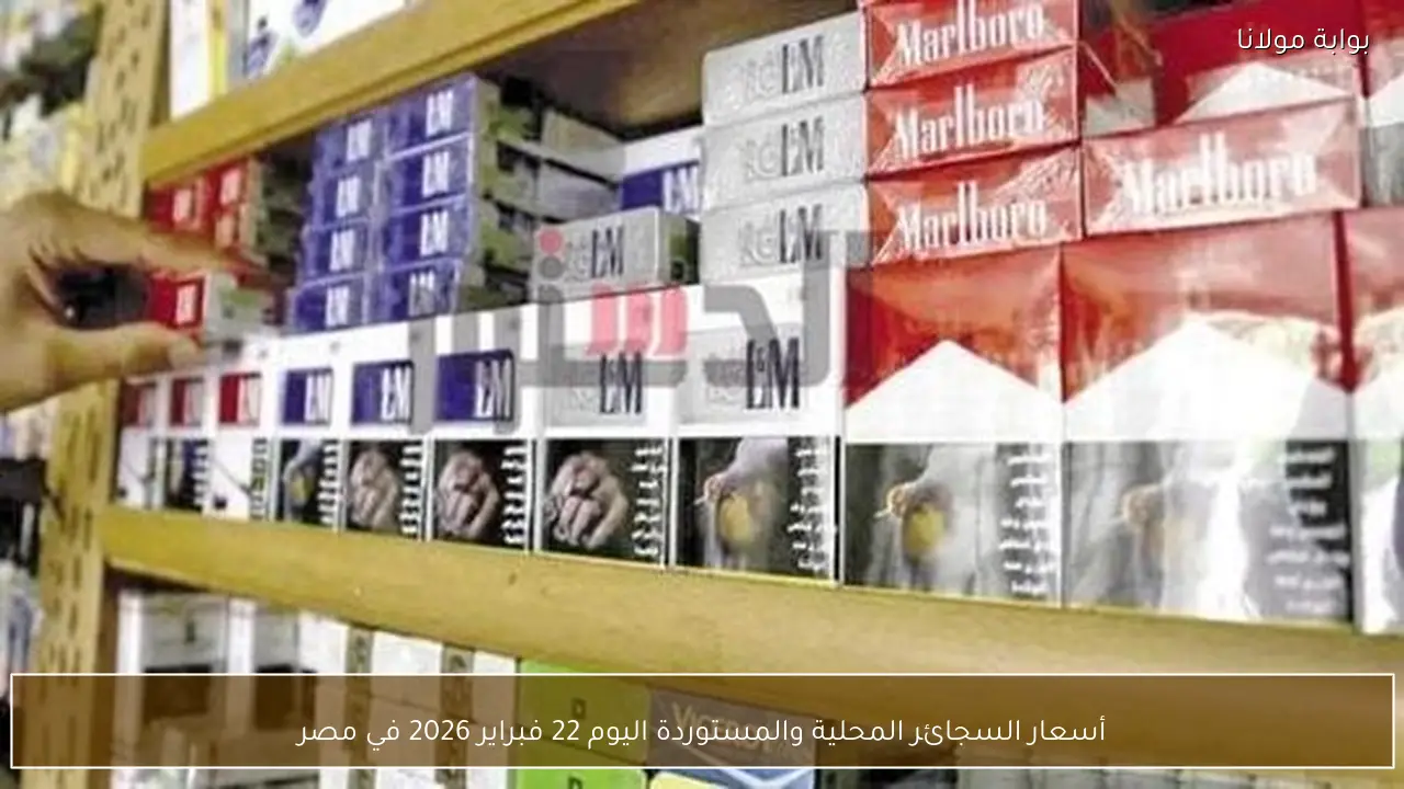 أسعار السجائر المحلية والمستوردة اليوم 22 فبراير 2026 في مصر