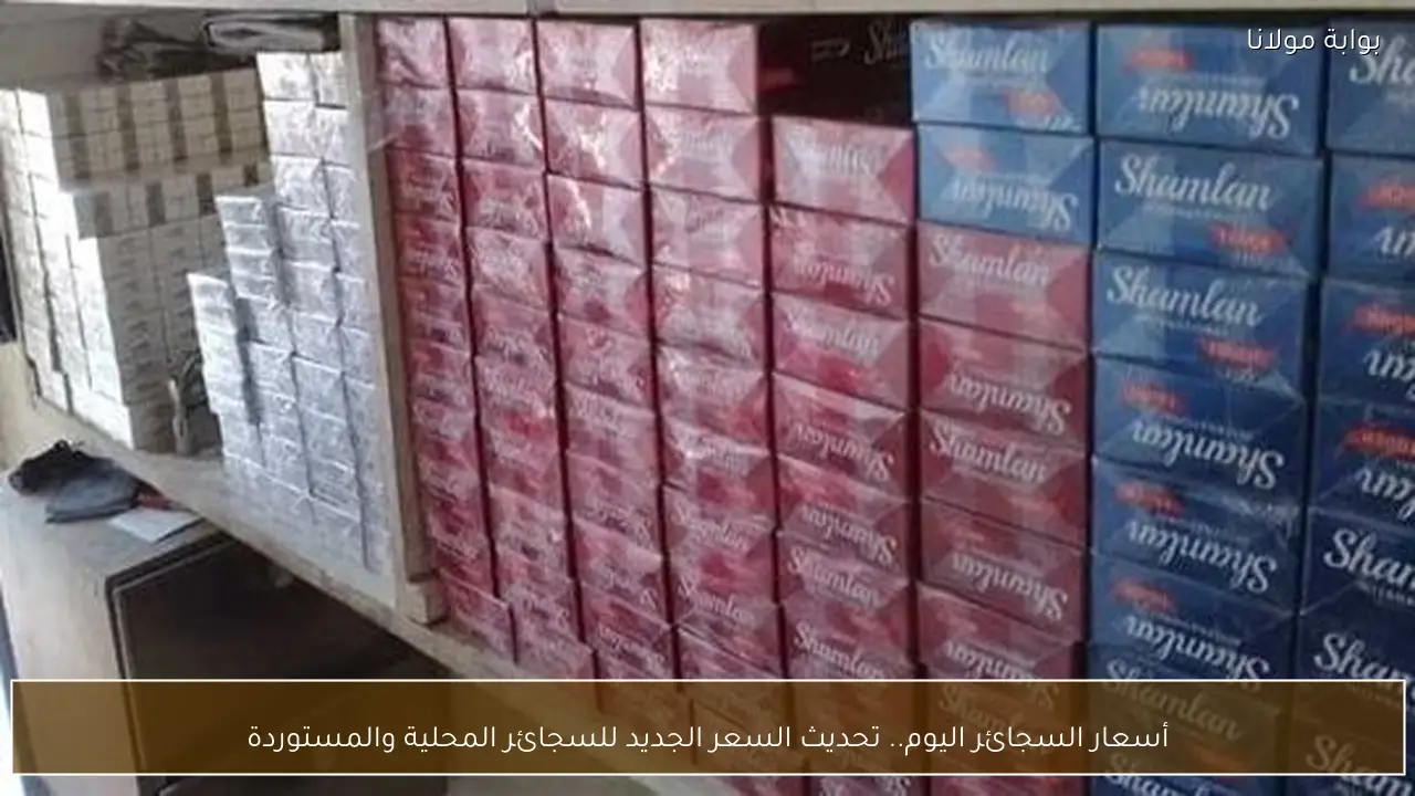 أسعار السجائر اليوم.. تحديث السعر الجديد للسجائر المحلية والمستوردة