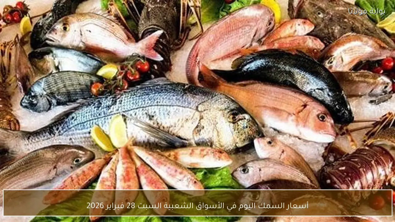 أسعار السمك اليوم في الأسواق الشعبية السبت 28 فبراير 2026