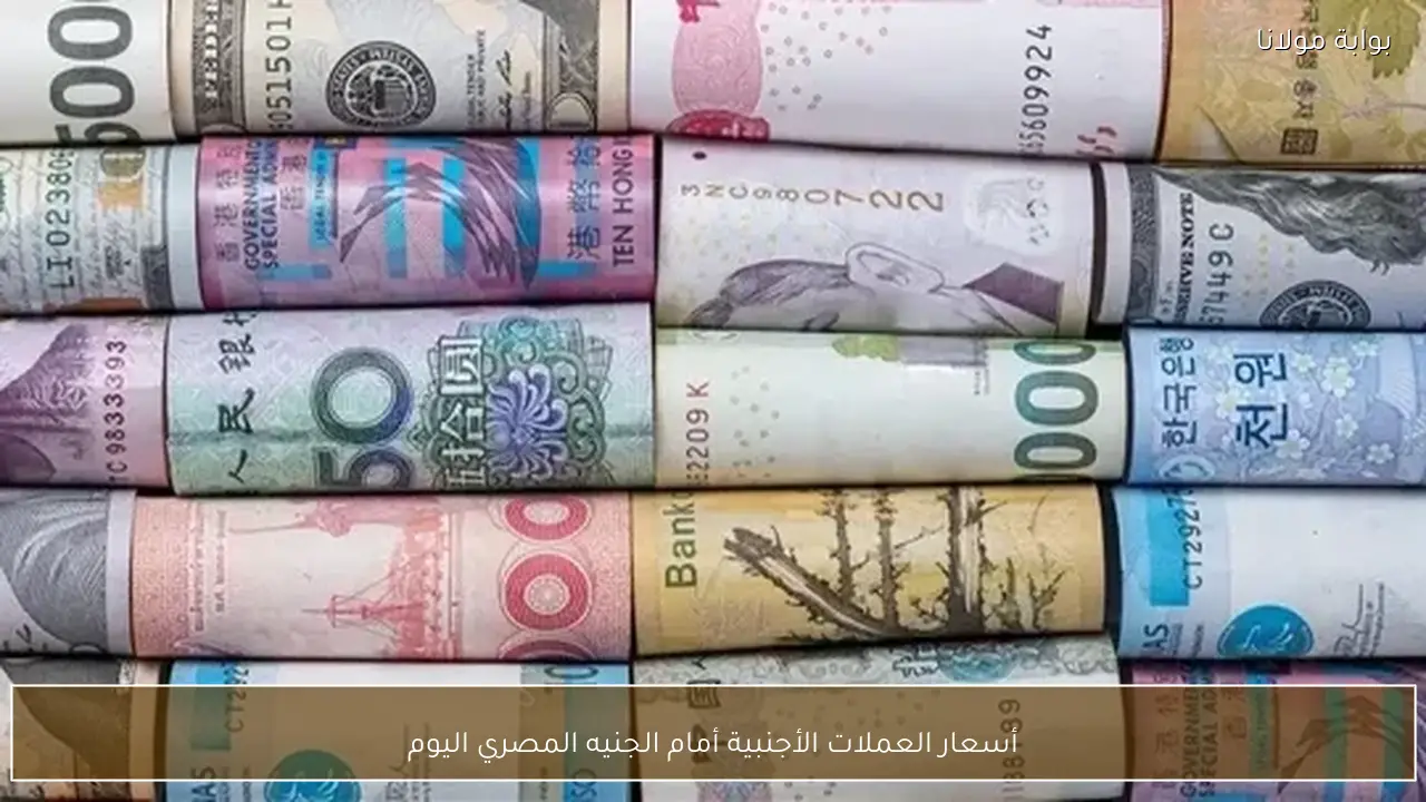 أسعار العملات الأجنبية أمام الجنيه المصري اليوم