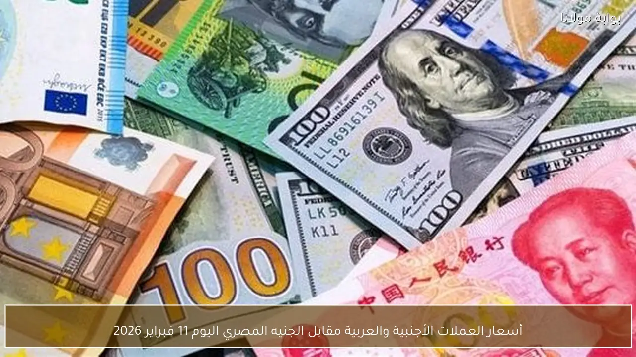 أسعار العملات الأجنبية والعربية مقابل الجنيه المصري اليوم 11 فبراير 2026