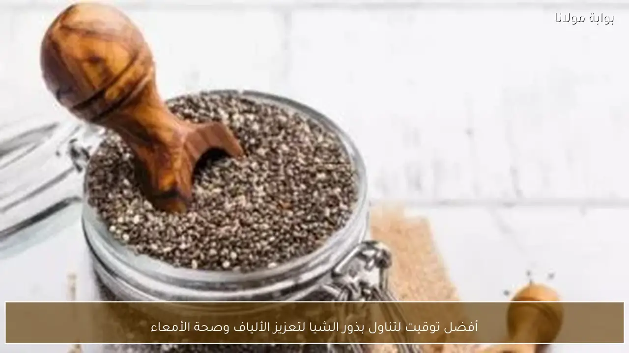 أفضل توقيت لتناول بذور الشيا لتعزيز الألياف وصحة الأمعاء