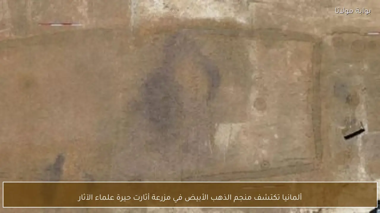 ألمانيا تكتشف منجم الذهب الأبيض في مزرعة أثارت حيرة علماء الآثار