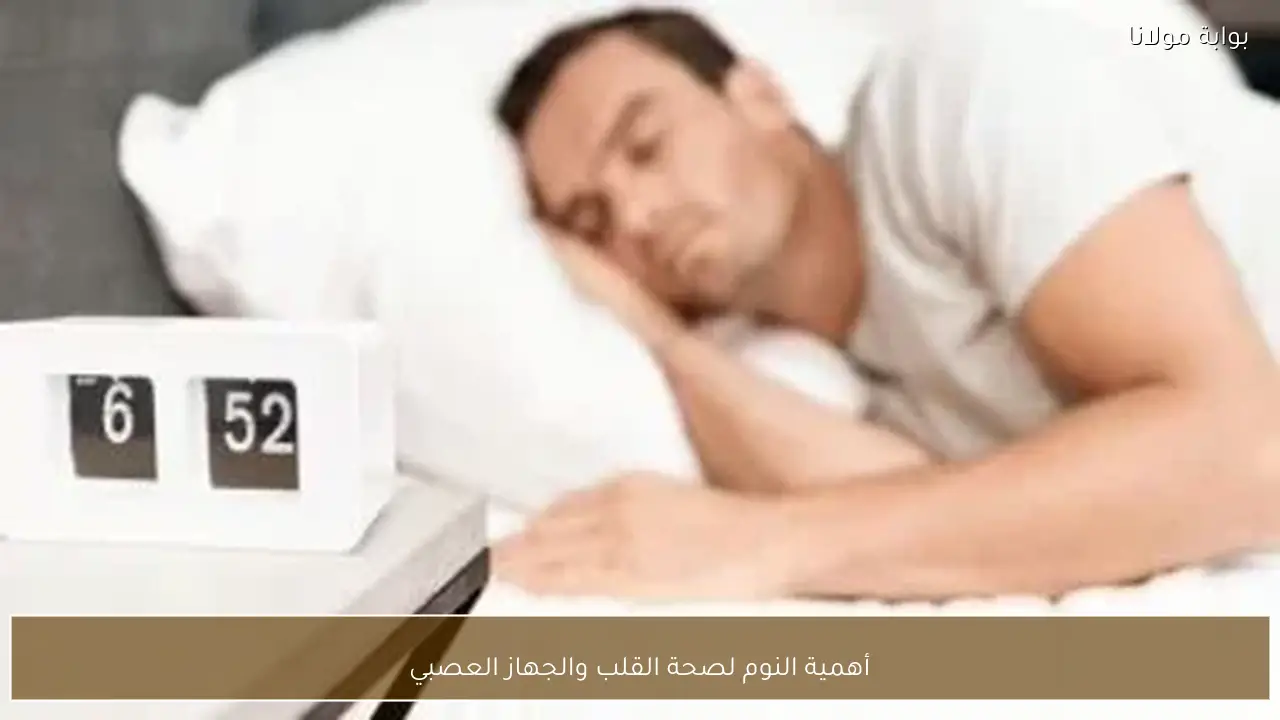 أهمية النوم لصحة القلب والجهاز العصبي