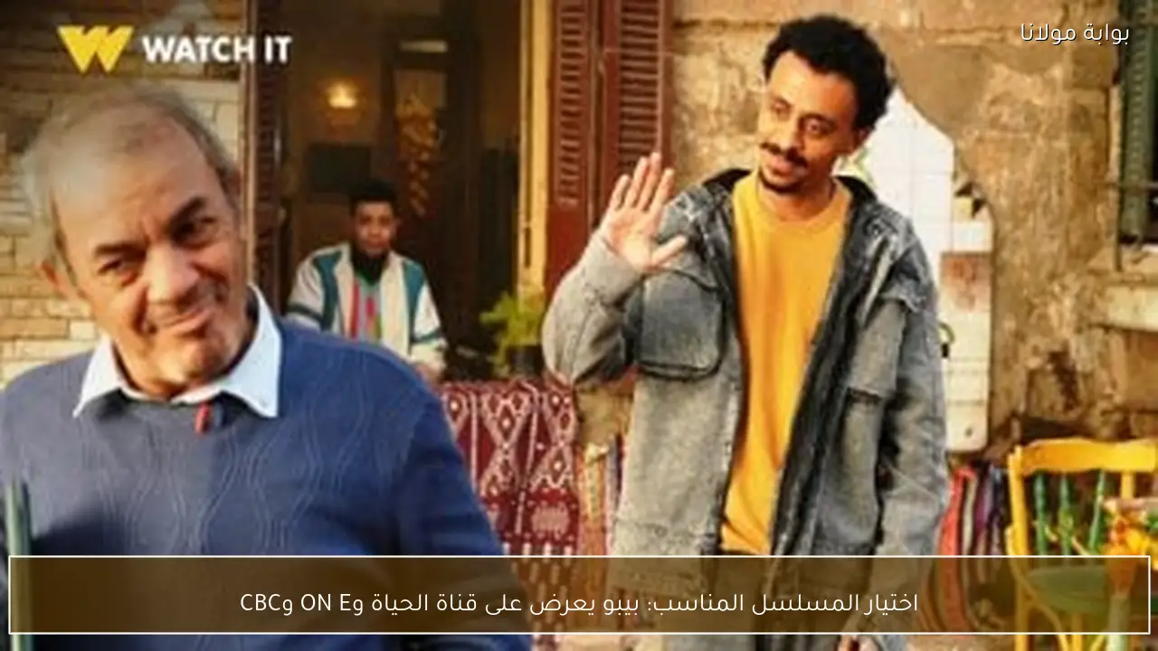 اختيار المسلسل المناسب: بيبو يعرض على قناة الحياة وON E وCBC