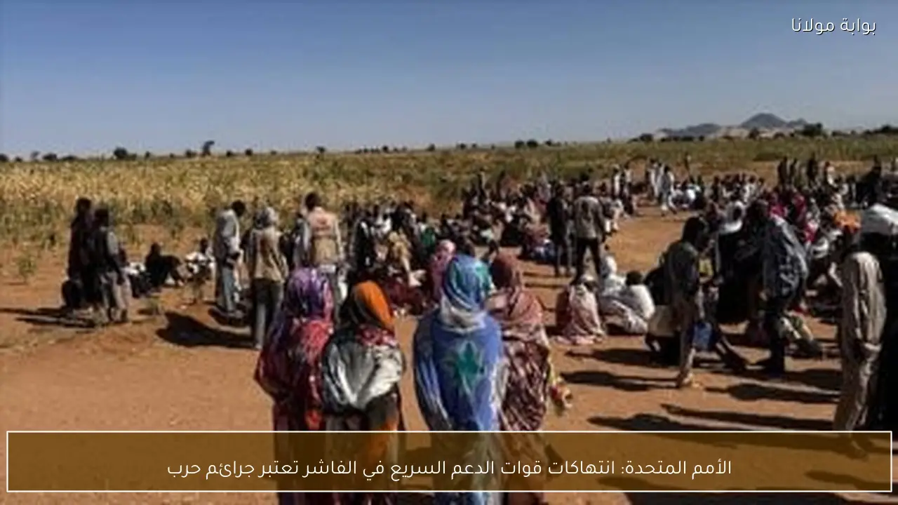 الأمم المتحدة: انتهاكات قوات الدعم السريع في الفاشر تعتبر جرائم حرب