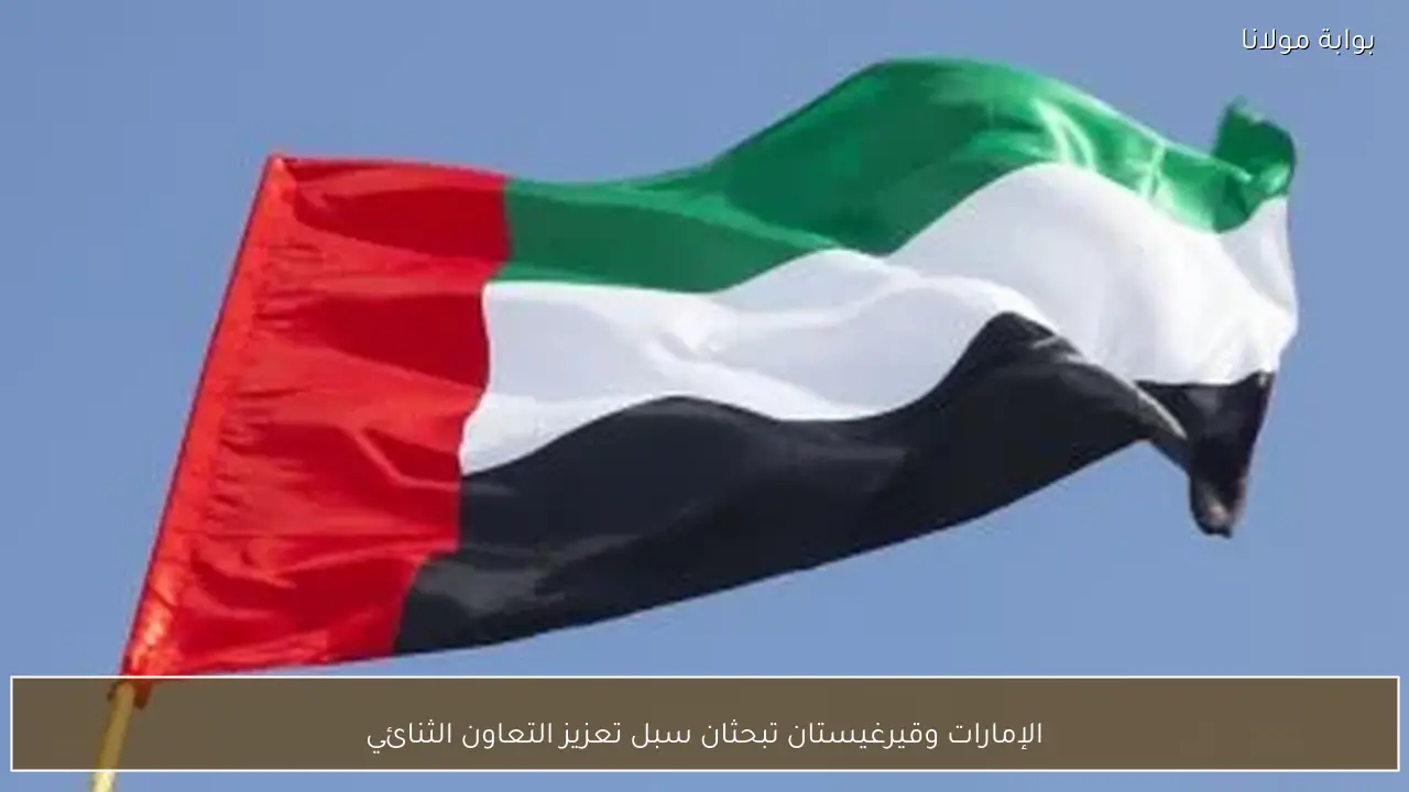 الإمارات وقيرغيستان تبحثان سبل تعزيز التعاون الثنائي