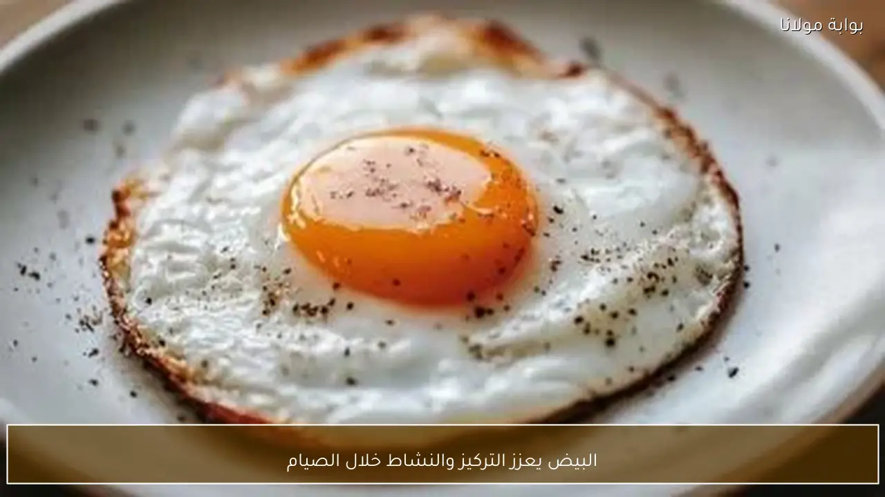 البيض يعزز التركيز والنشاط خلال الصيام