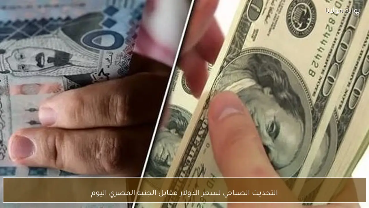 التحديث الصباحي لسعر الدولار مقابل الجنيه المصري اليوم