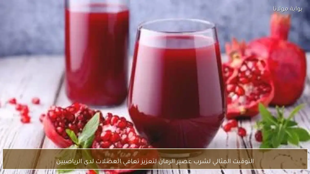 التوقيت المثالي لشرب عصير الرمان لتعزيز تعافي العضلات لدى الرياضيين