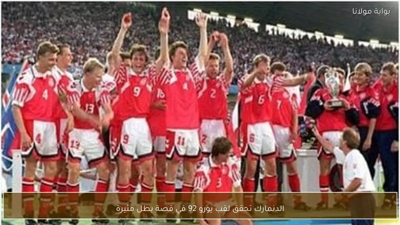 الدنمارك تحقق لقب يورو 92 في قصة بطل مثيرة