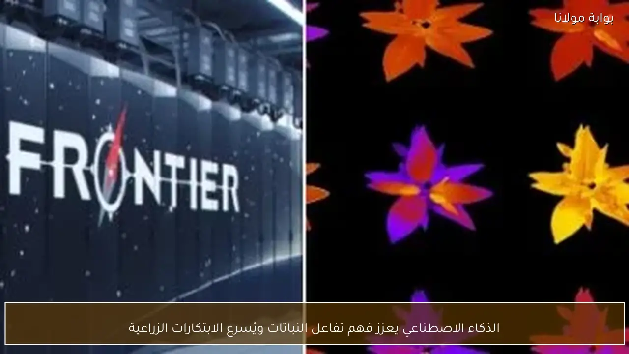 الذكاء الاصطناعي يعزز فهم تفاعل النباتات ويُسرع الابتكارات الزراعية