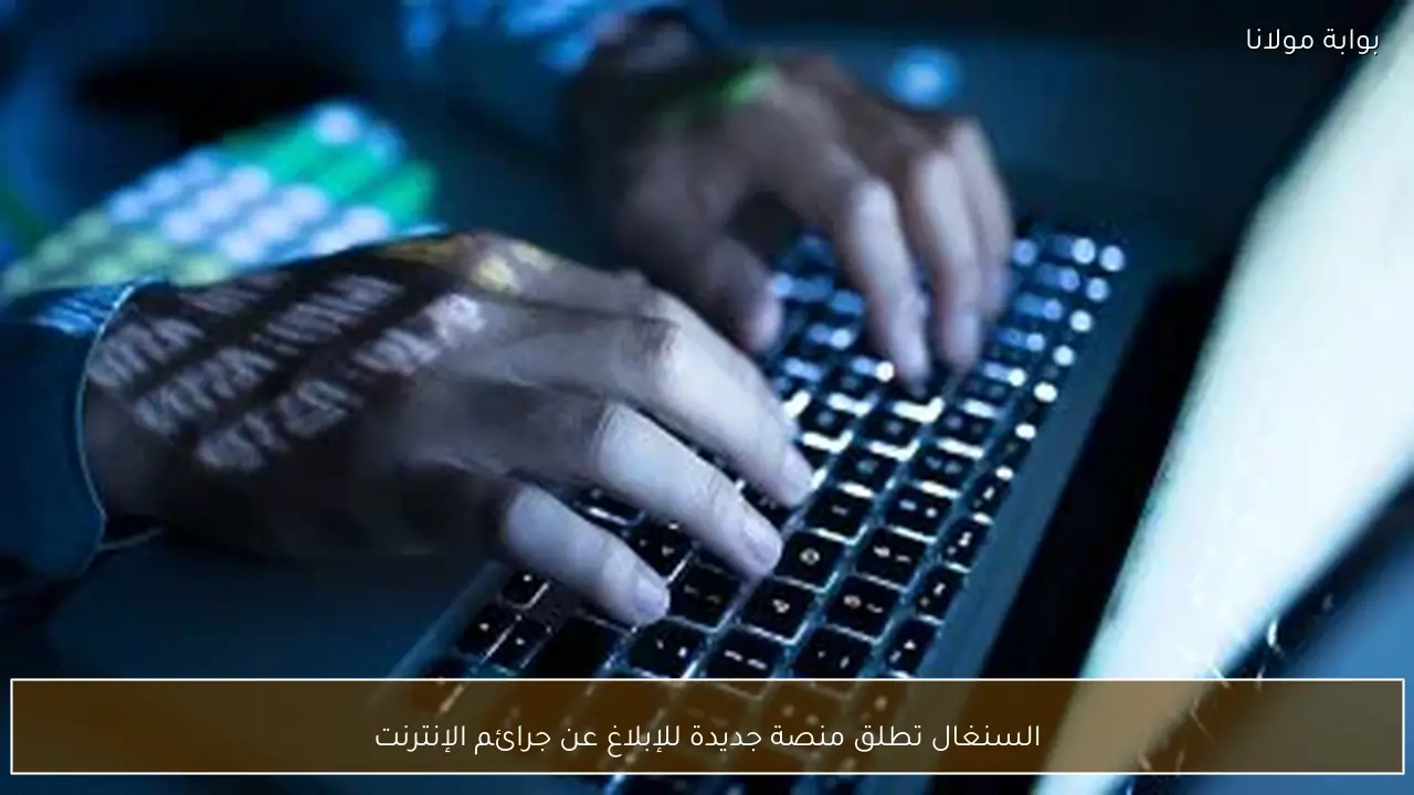 السنغال تطلق منصة جديدة للإبلاغ عن جرائم الإنترنت