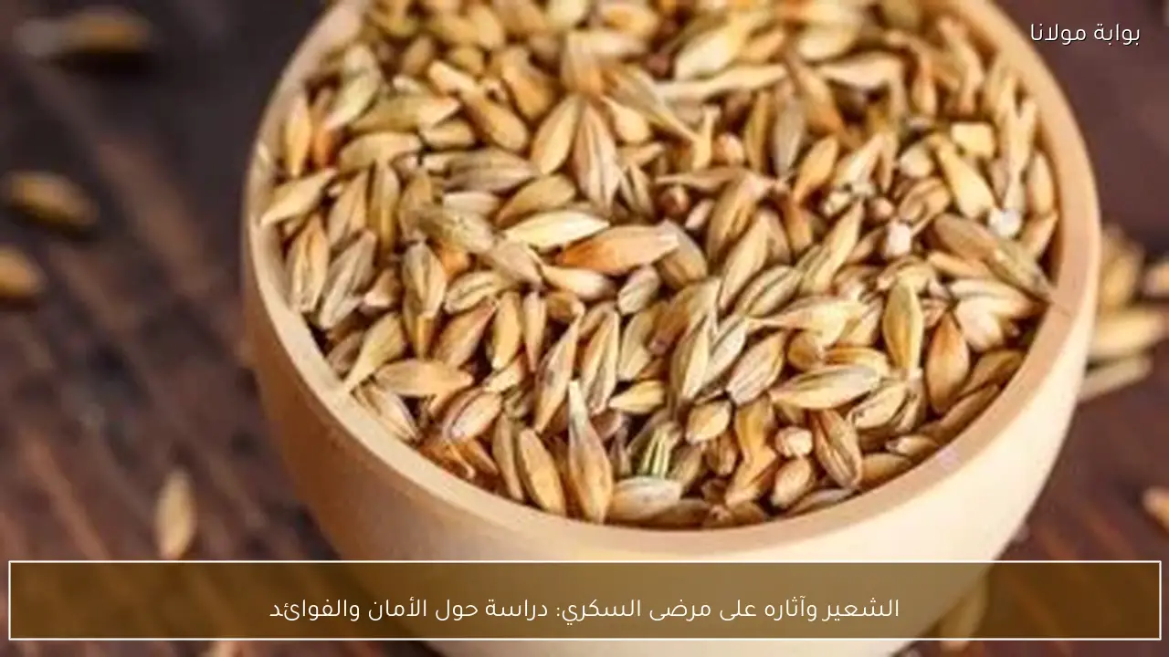 الشعير وآثاره على مرضى السكري: دراسة حول الأمان والفوائد