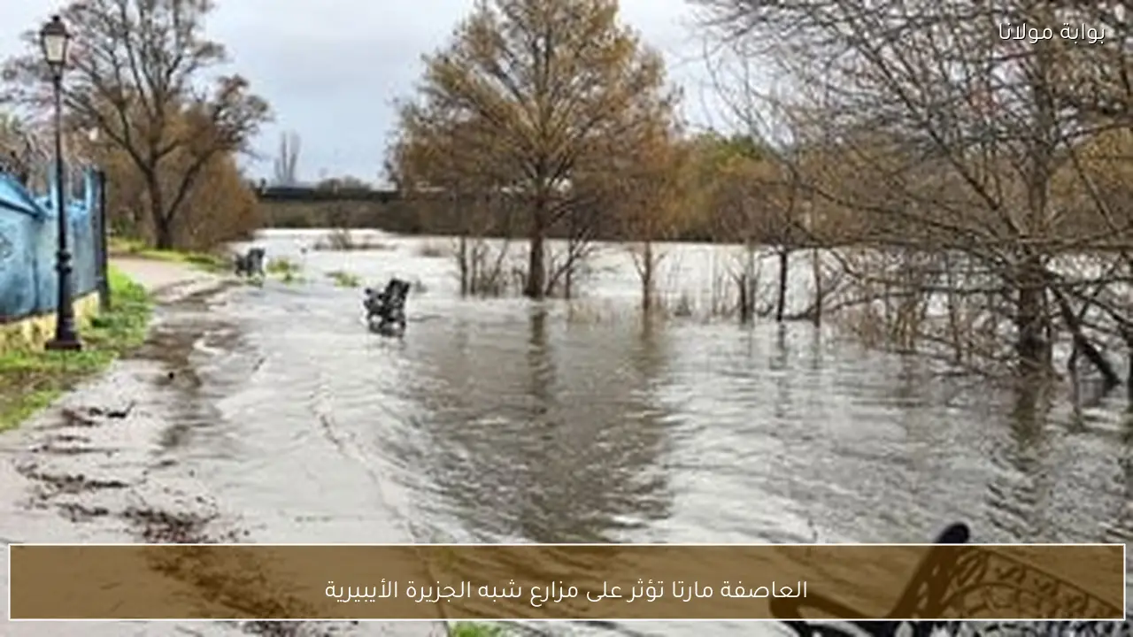 العاصفة مارتا تؤثر على مزارع شبه الجزيرة الأيبيرية