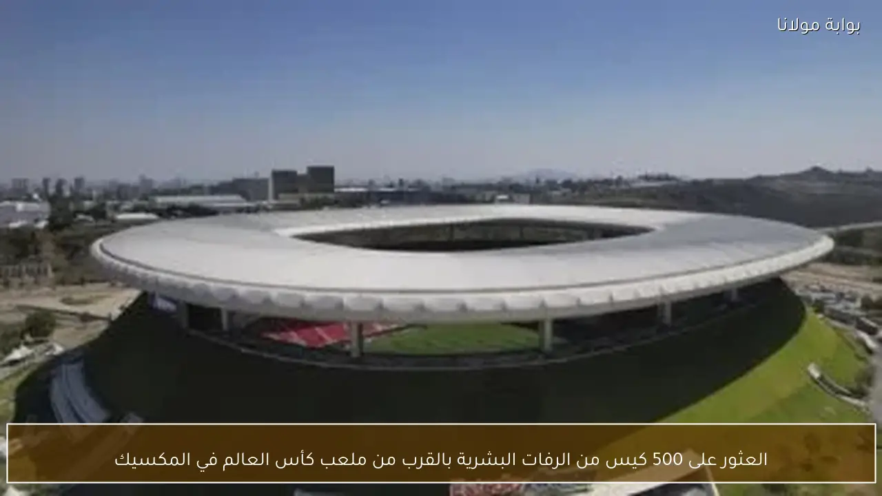 العثور على 500 كيس من الرفات البشرية بالقرب من ملعب كأس العالم في المكسيك