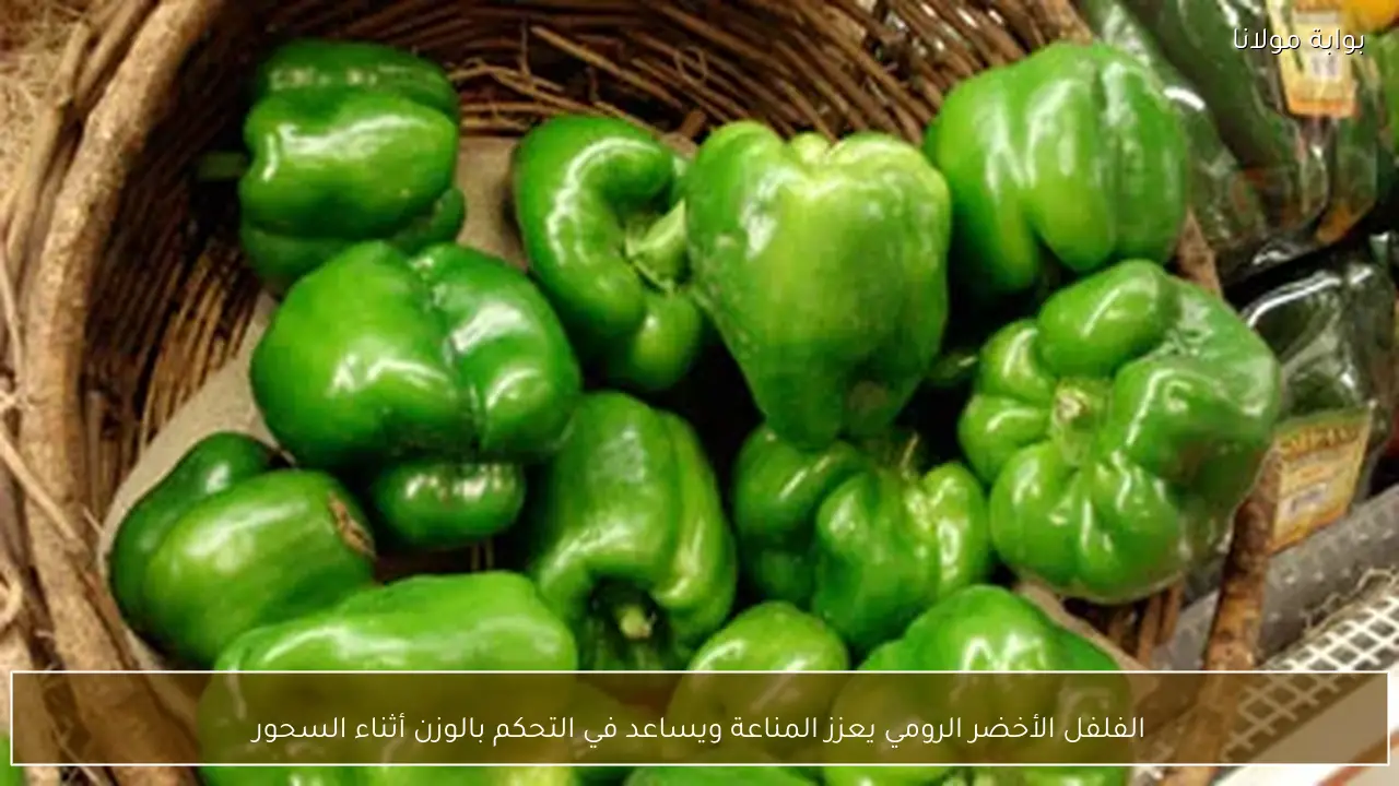 الفلفل الأخضر الرومي يعزز المناعة ويساعد في التحكم بالوزن أثناء السحور