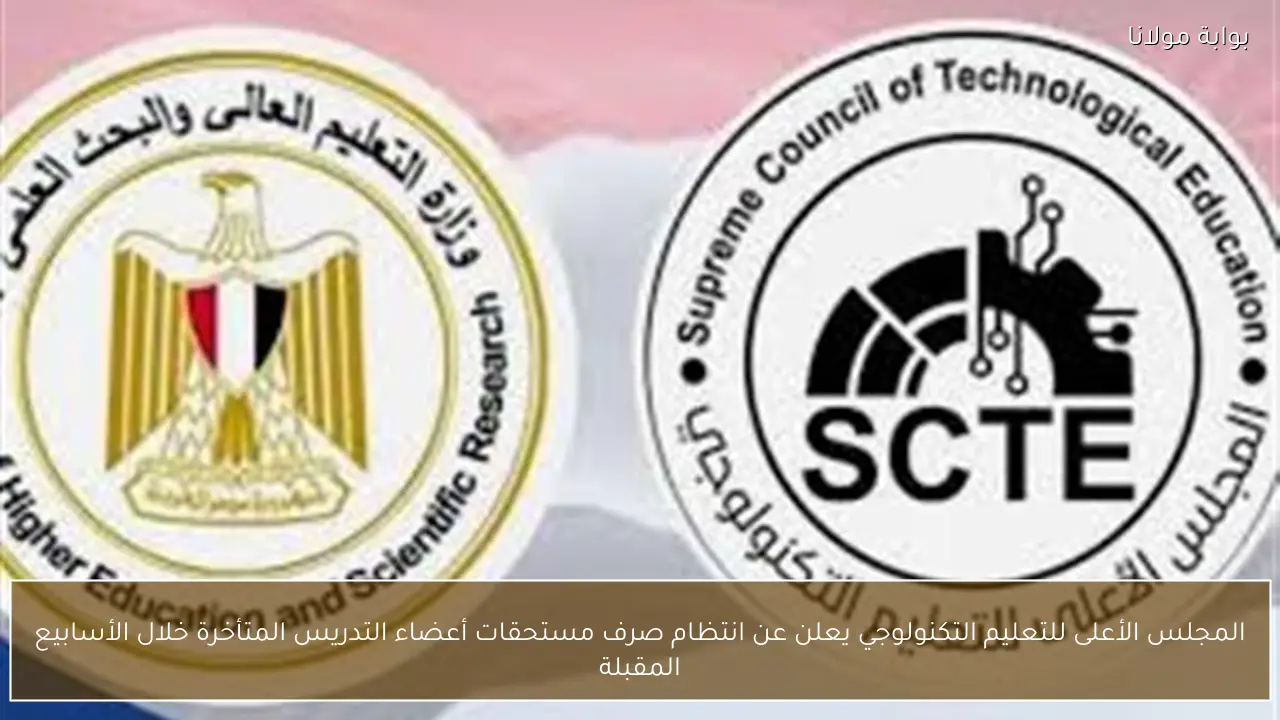 المجلس الأعلى للتعليم التكنولوجي يعلن عن انتظام صرف مستحقات أعضاء التدريس المتأخرة خلال الأسابيع المقبلة