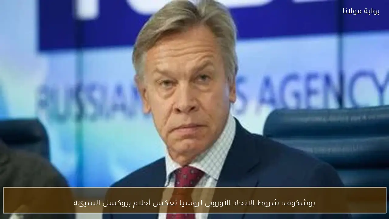 بوشكوف: شروط الاتحاد الأوروبي لروسيا تعكس أحلام بروكسل السيئة