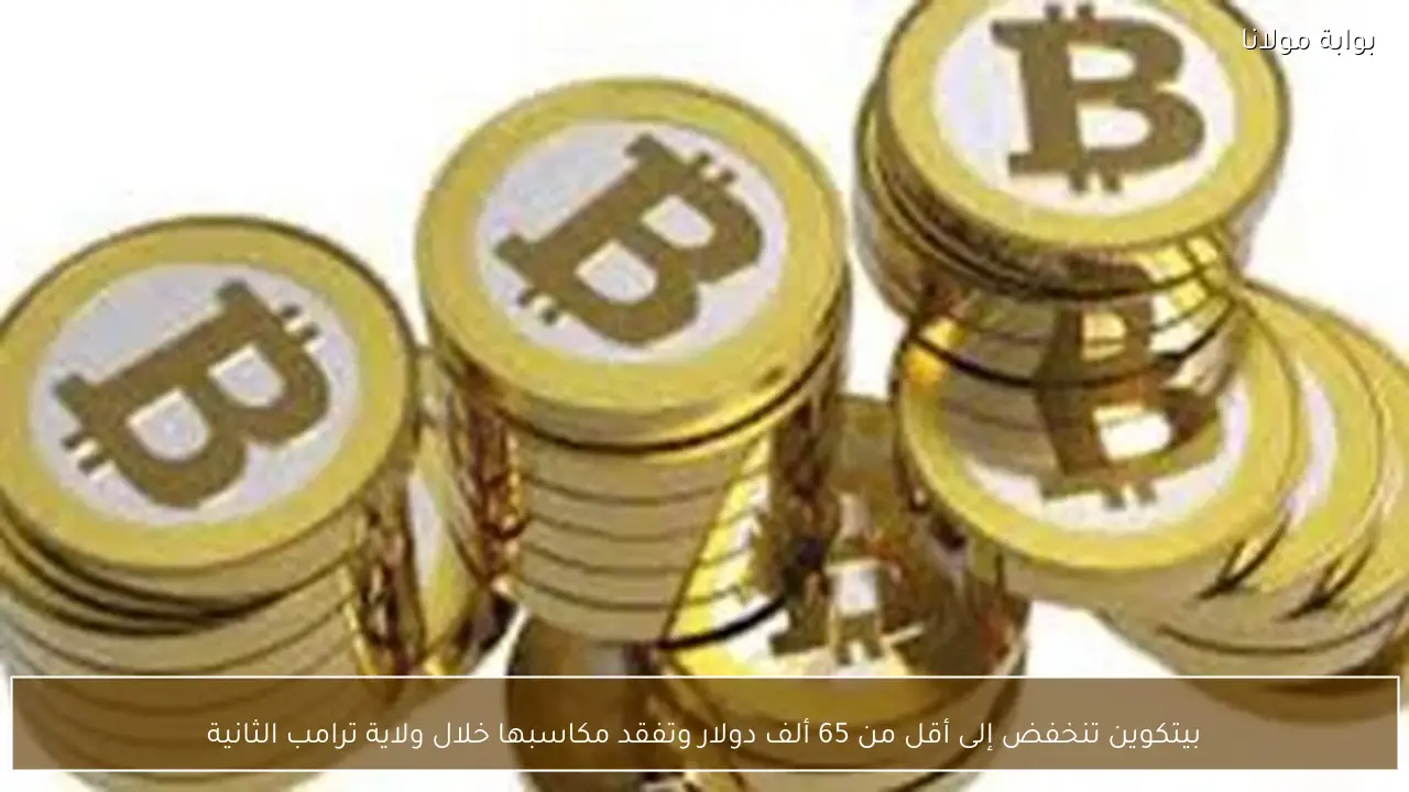 بيتكوين تنخفض إلى أقل من 65 ألف دولار وتفقد مكاسبها خلال ولاية ترامب الثانية