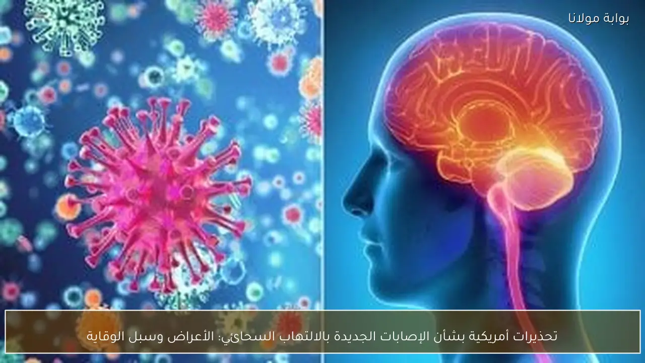 تحذيرات أمريكية بشأن الإصابات الجديدة بالالتهاب السحائي: الأعراض وسبل الوقاية