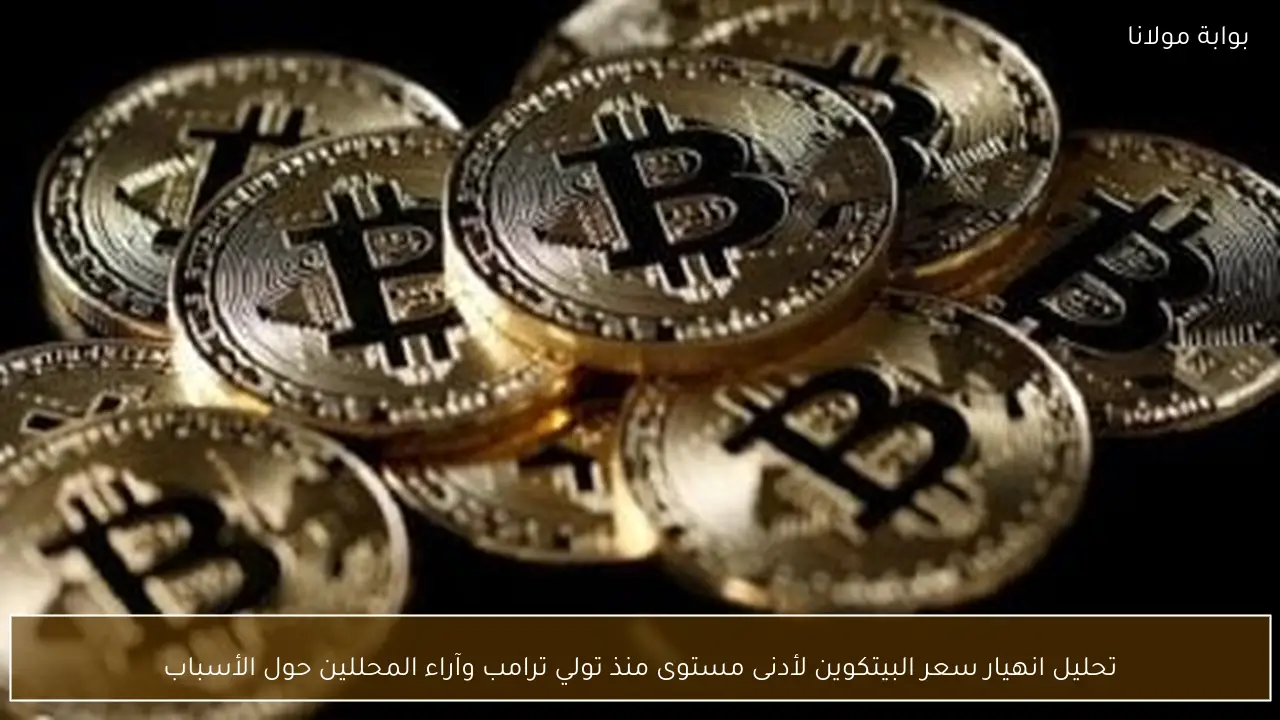 تحليل انهيار سعر البيتكوين لأدنى مستوى منذ تولي ترامب وآراء المحللين حول الأسباب
