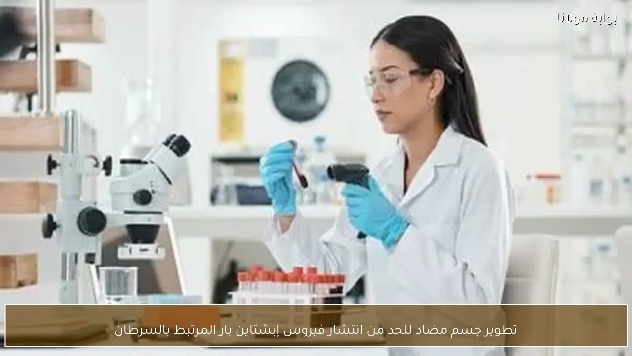 تطوير جسم مضاد للحد من انتشار فيروس إبشتاين بار المرتبط بالسرطان