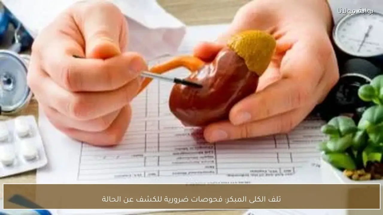 تلف الكلى المبكر: فحوصات ضرورية للكشف عن الحالة