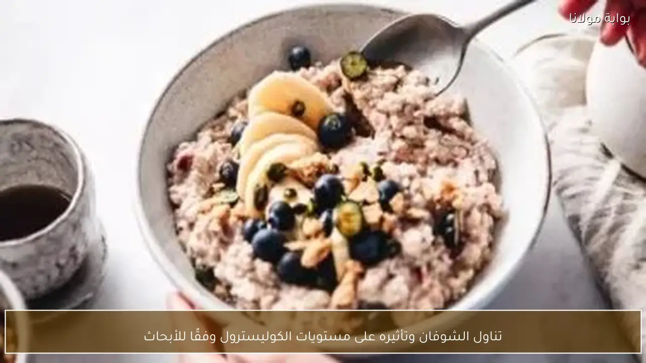 تناول الشوفان وتأثيره على مستويات الكوليسترول وفقًا للأبحاث
