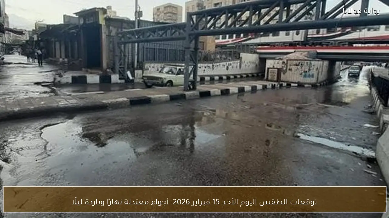 توقعات الطقس اليوم الأحد 15 فبراير 2026: أجواء معتدلة نهارًا وباردة ليلًا