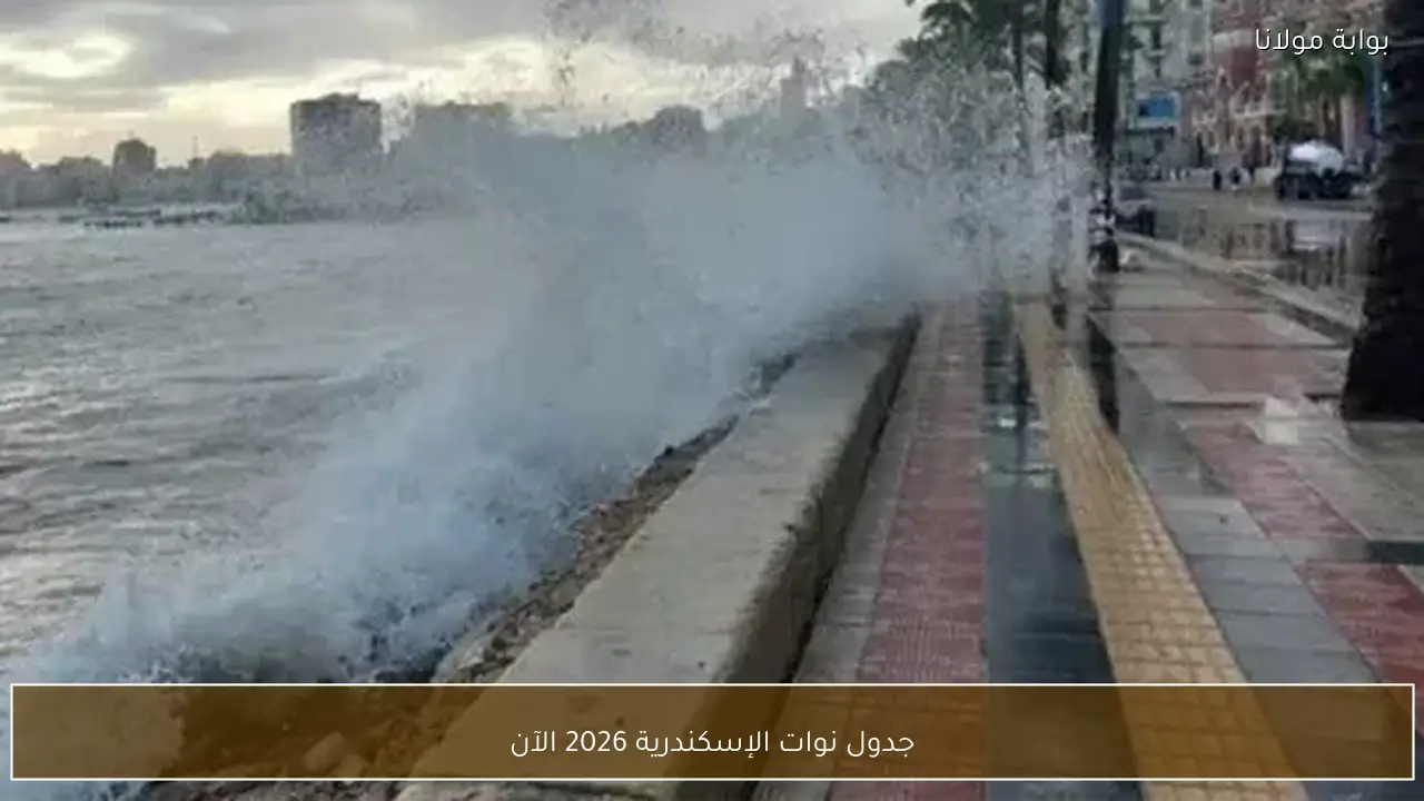 جدول نوات الإسكندرية 2026 الآن
