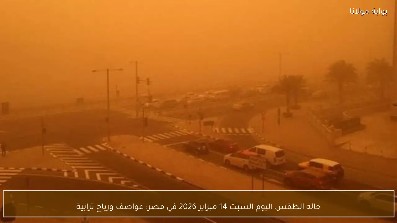 حالة الطقس اليوم السبت 14 فبراير 2026 في مصر: عواصف ورياح ترابية