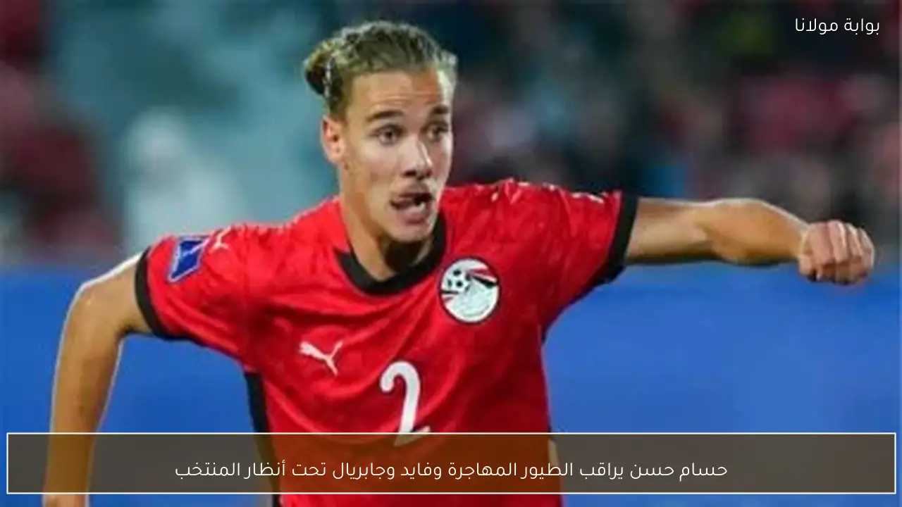 حسام حسن يراقب الطيور المهاجرة وفايد وجابريال تحت أنظار المنتخب