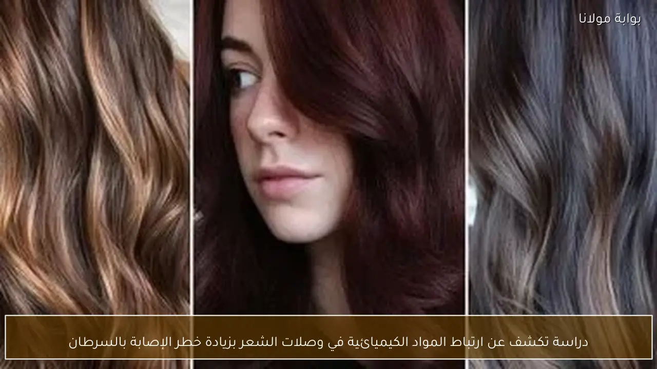 دراسة تكشف عن ارتباط المواد الكيميائية في وصلات الشعر بزيادة خطر الإصابة بالسرطان