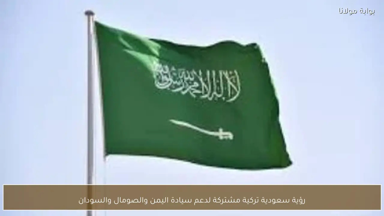 رؤية سعودية تركية مشتركة لدعم سيادة اليمن والصومال والسودان