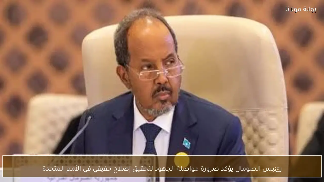 رئيس الصومال يؤكد ضرورة مواصلة الجهود لتحقيق إصلاح حقيقي في الأمم المتحدة