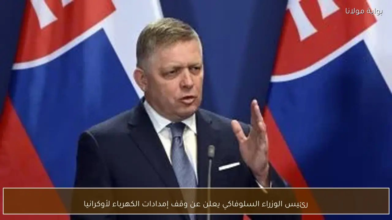 رئيس الوزراء السلوفاكي يعلن عن وقف إمدادات الكهرباء لأوكرانيا