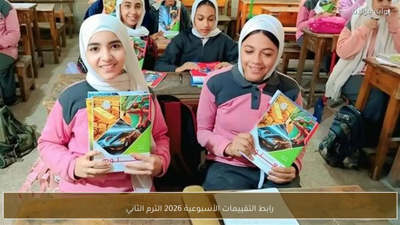 رابط التقييمات الأسبوعية 2026 الترم الثاني