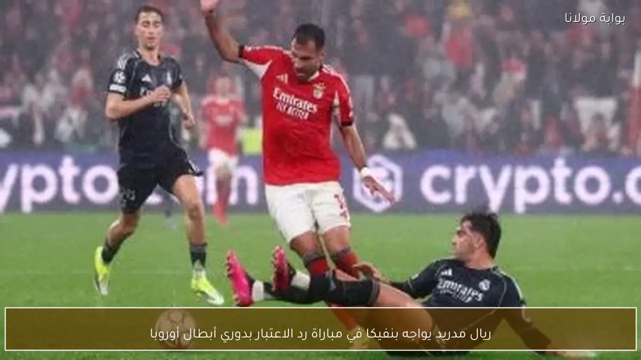 ريال مدريد يواجه بنفيكا في مباراة رد الاعتبار بدوري أبطال أوروبا