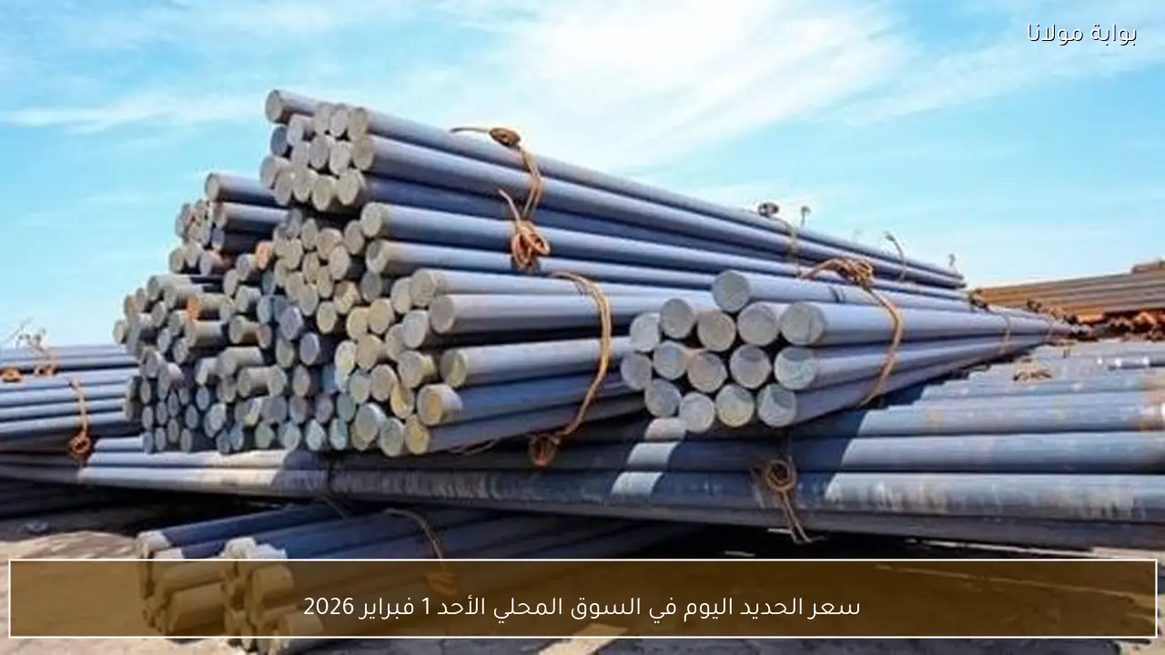 سعر الحديد اليوم في السوق المحلي الأحد 1 فبراير 2026