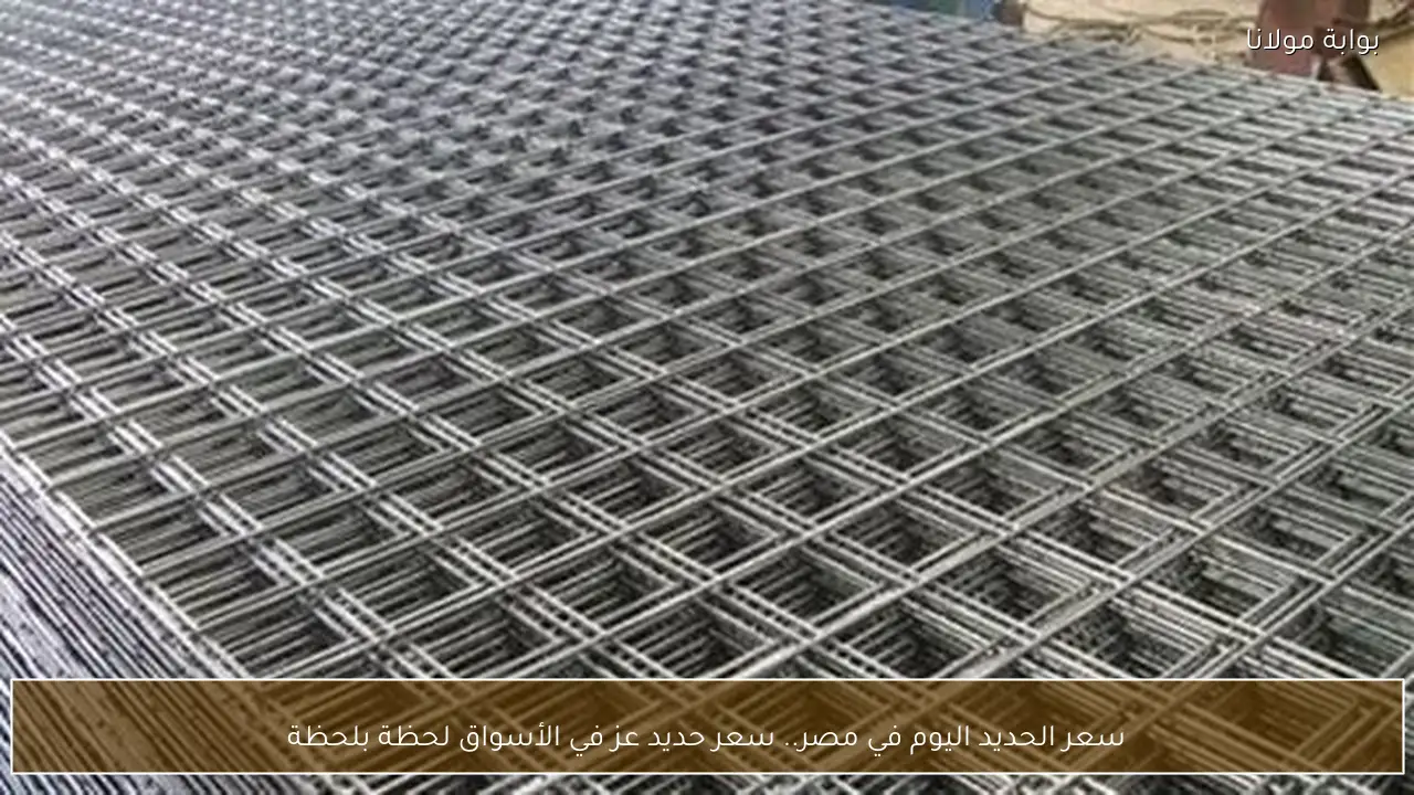 سعر الحديد اليوم في مصر.. سعر حديد عز في الأسواق لحظة بلحظة
