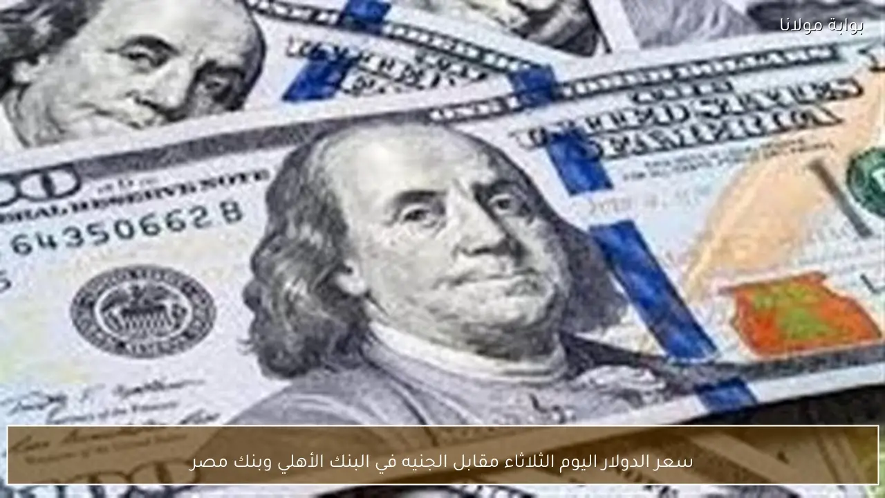 سعر الدولار اليوم الثلاثاء مقابل الجنيه في البنك الأهلي وبنك مصر