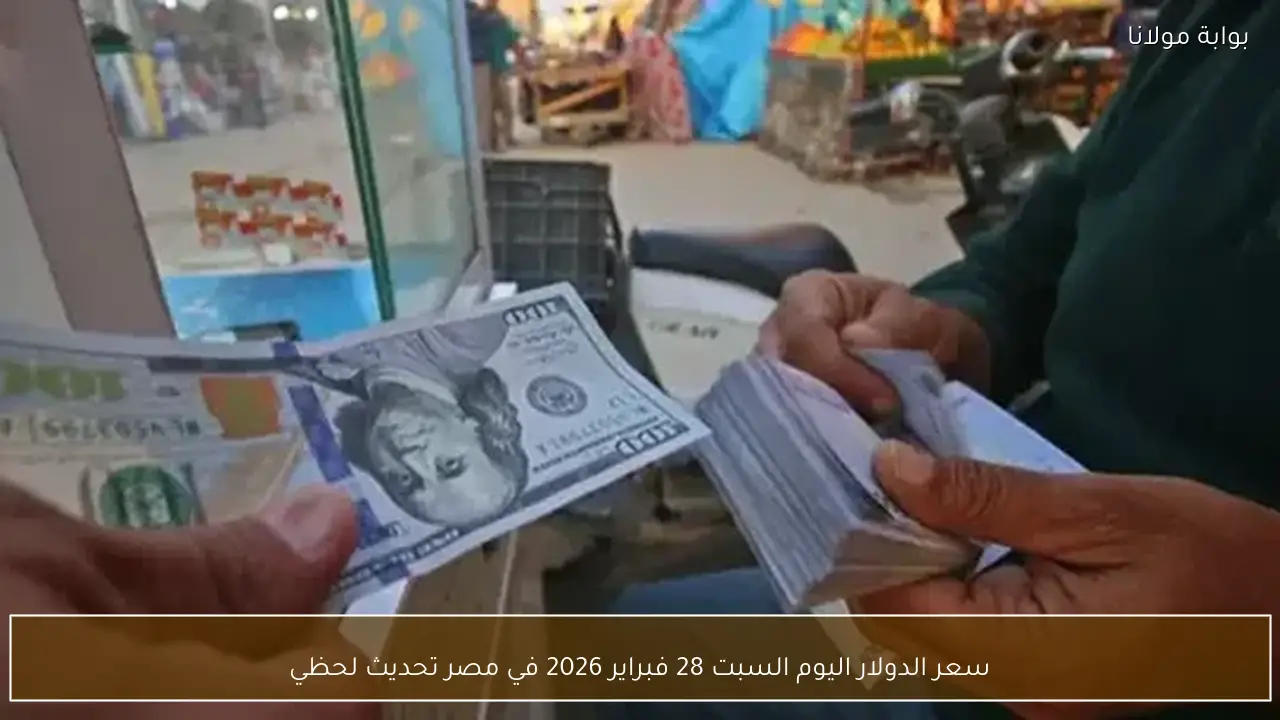 سعر الدولار اليوم السبت 28 فبراير 2026 في مصر تحديث لحظي