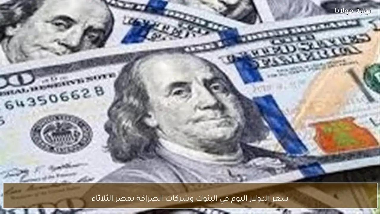 سعر الدولار اليوم في البنوك وشركات الصرافة بمصر  الثلاثاء