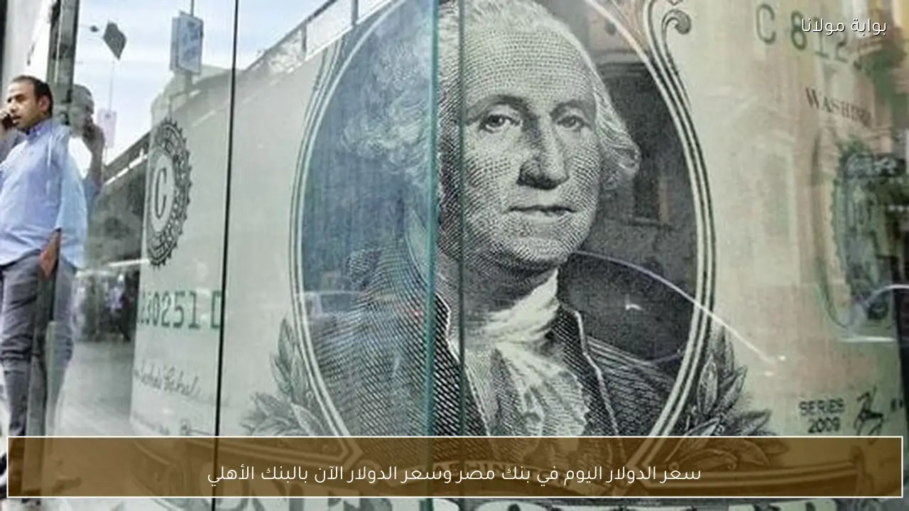 سعر الدولار اليوم في بنك مصر وسعر الدولار الآن بالبنك الأهلي