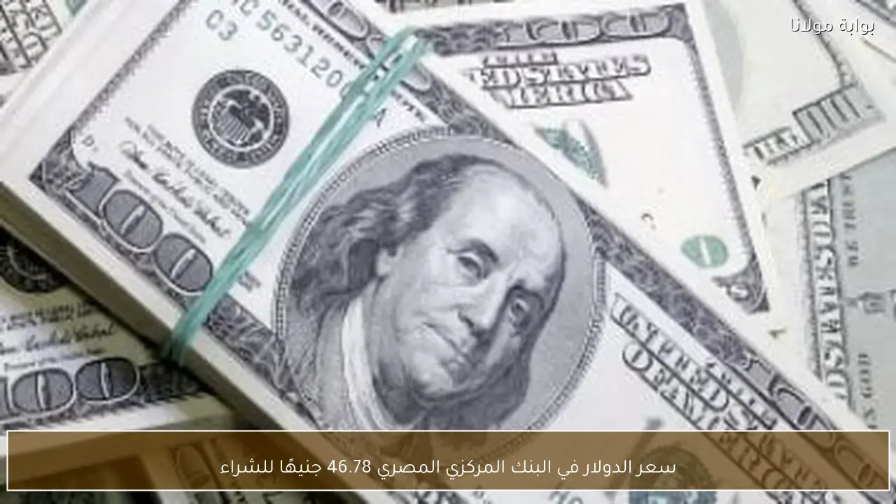 سعر الدولار في البنك المركزي المصري 46.78 جنيهًا للشراء