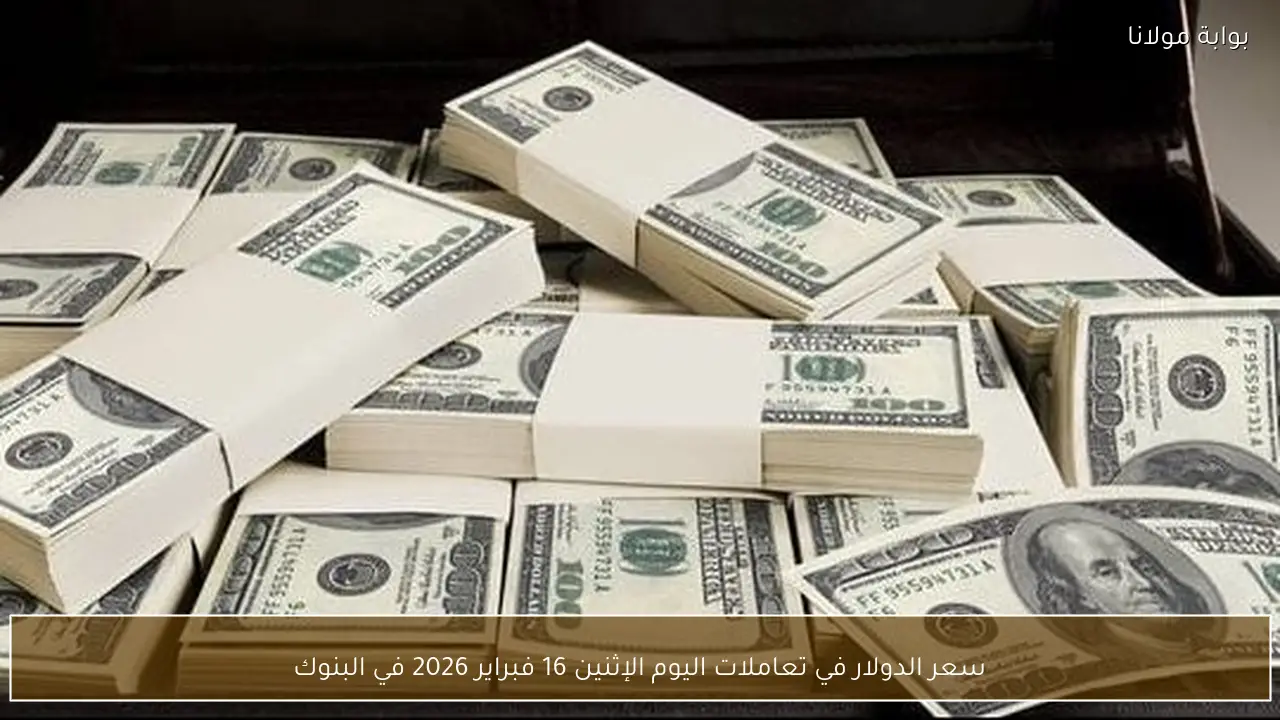سعر الدولار في تعاملات اليوم الإثنين 16 فبراير 2026 في البنوك