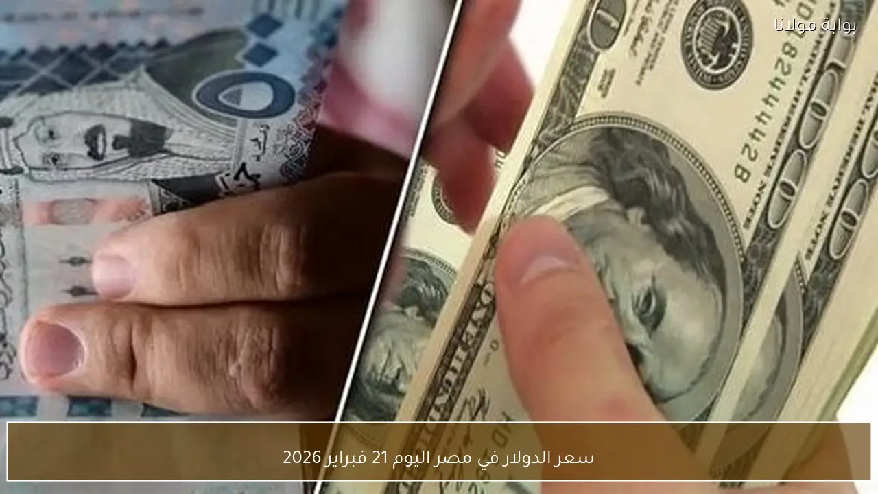 سعر الدولار في مصر اليوم 21 فبراير 2026
